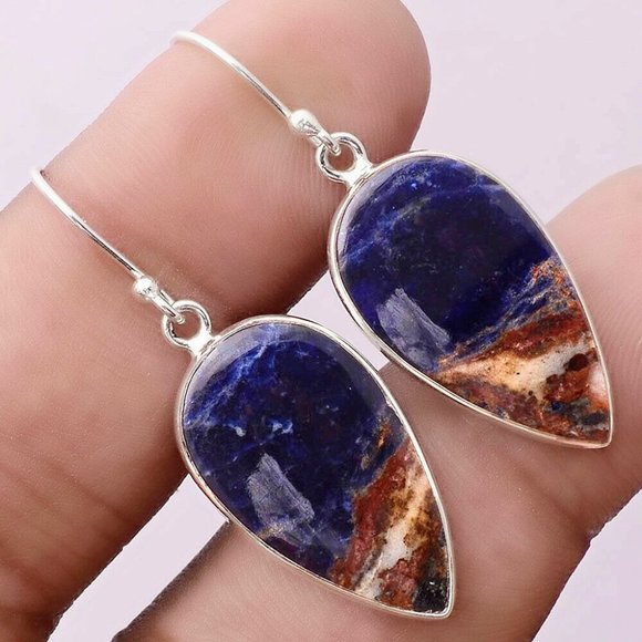 The Girl With Kaleidoscope Eyes Jewelry - Indian Blanket Jasper Earrings
